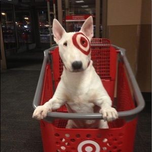 Meet your Posher, Daphne